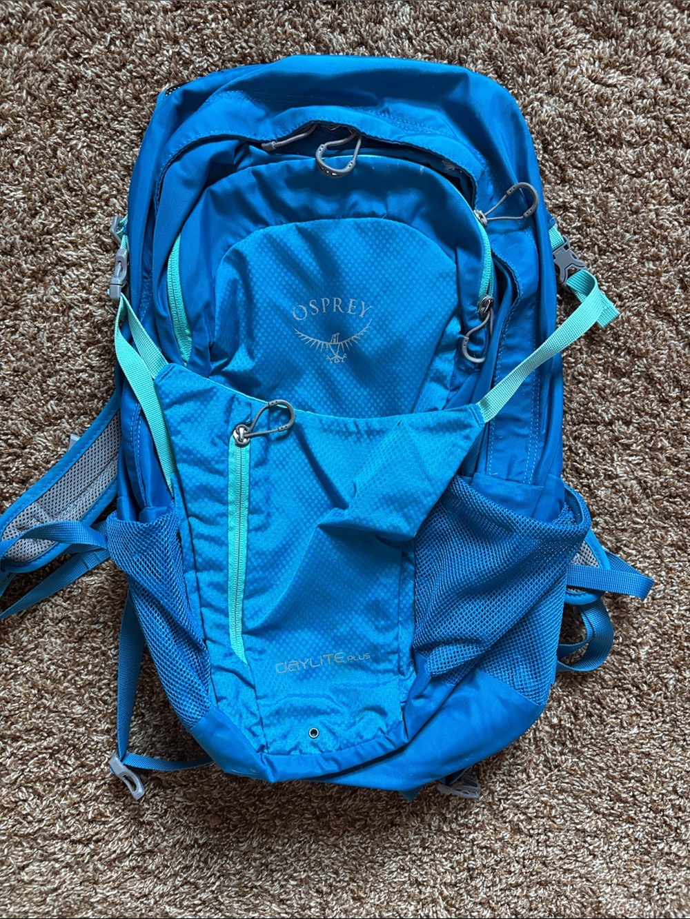 Osprey Daylight Plus
